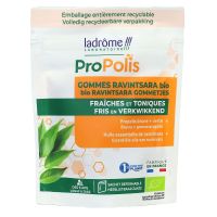 Propolis gommes fortes et actives ravintsara bio 45g