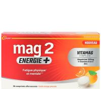 Energie+ fatigue physique et mentale 30 comprimés