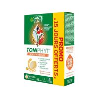 Toniphyt Boost énergie 45 comprimés